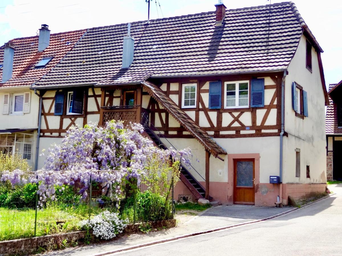 La Couette Enchantee - Parking - Zimmerbach Eksteriør bilde